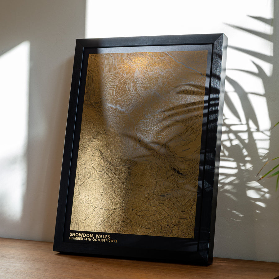 Custom Topographic Map  Metallic Foil Contour Map